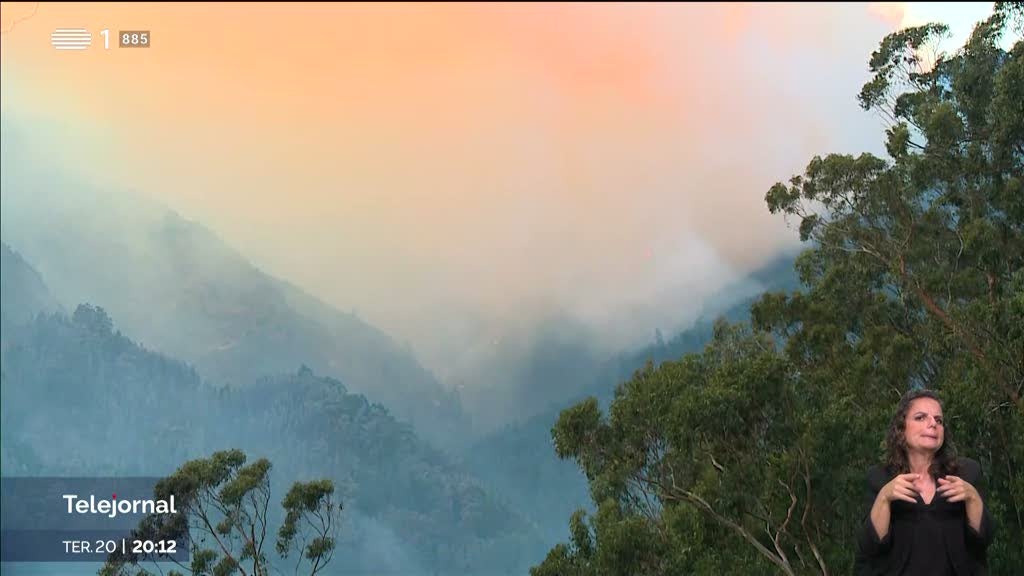 PS Madeira quer comissão de inquérito aos incêndios