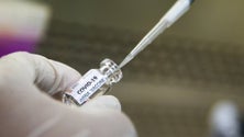 Imagem de Covid-19: Vacina russa chama-se Sputnik V e foi já pedida por 20 países