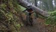 Imagem de Taça da Madeira de Enduro (vídeo)