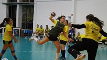 Imagem de Andebol feminino regressa a casa (vídeo)