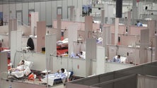 Imagem de Covid-19: OMS volta a reunir comité de emergência