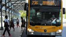 Imagem de Câmara de Lisboa aprova por unanimidade transportes gratuitos para jovens e idosos