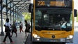 Imagem de Câmara de Lisboa aprova por unanimidade transportes gratuitos para jovens e idosos
