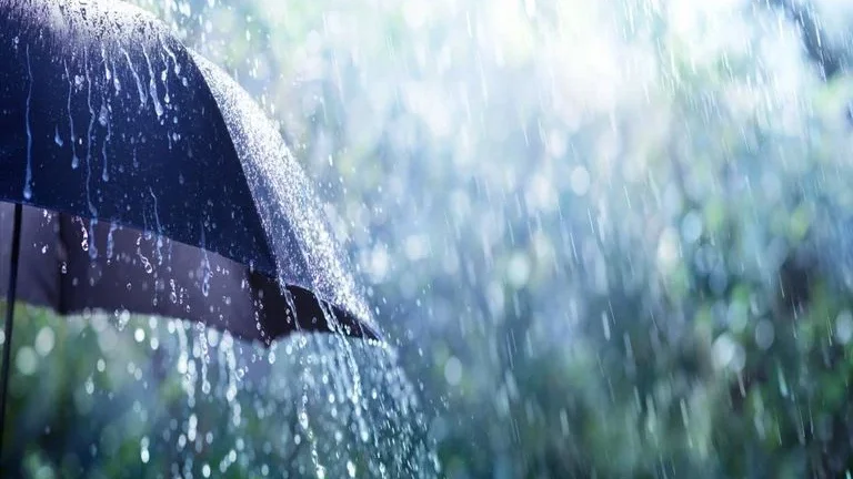 Períodos de chuva ou aguaceiros, que poderão ser por vezes fortes