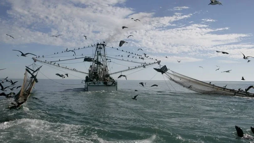 Imagem de Bruxelas quer proibir pesca de arrasto de fundo em todas as áreas marinhas protegidas até 2030