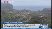 Imagem de Proprietários de terrenos florestais vão receber apoio do serviço de aconselhamento florestal (Vídeo)