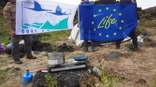 Imagem de Graciosa recebe jovens de cinco países num campo de voluntariado (Vídeo)