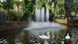 Imagem de Câmara do Funchal vai ter contadores em fontanários, fontes e jardins