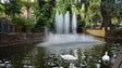 Câmara do Funchal vai ter contadores em fontanários, fontes e jardins