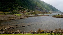 Imagem de Estudo revela novas pistas sobre a biodiversidade dos Açores