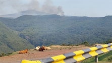 Imagem de Incêndio encerra duas estradas que acedem ao Rabaçal (vídeo)