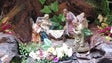 Imagem de Casa-Museu Frederico de Freitas promove «Natal na Calçada»