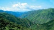 Imagem de Há uma nova associação ambientalista na Madeira (áudio)