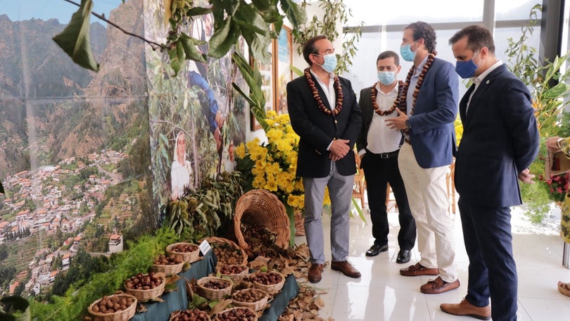 Imagem de Covid-19: Festa da Castanha no Curral das Freiras assinalada só com missa e prémios