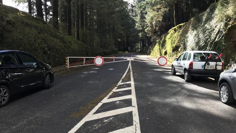 Imagem de Queda de neve obrigou ao corte de estradas