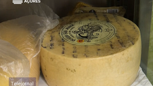 Imagem de Provadores analisam regularmente qualidade do queijo de São Jorge (Vídeo)