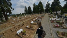 Imagem de Covid-19: Mais de 516 mil mortos e mais de 10,7 milhões de infetados no mundo