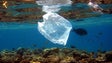 Impacto do lixo marinho estudado na Madeira (áudio)