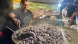 Imagem de Noite do Mercado dinamiza economia local (vídeo)