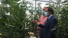 Imagem de Covid-19: Albuquerque alerta que pode vir a haver transmissão comunitária na Madeira (Áudio)