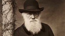 Imagem de Museu de História Natural apresenta exposição sobre Darwin