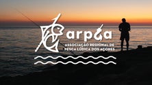 Imagem de Associação de Pesca Lúdica dos Açores quer maior inclusão no setor (Vídeo)