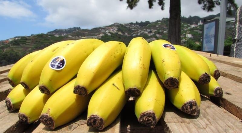 Comercialização de banana diminuiu 4,8%
