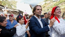 Imagem de Governo promete mais apoios à cana-de-açúcar