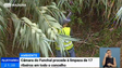 Câmara do Funchal vai limpar 17 ribeiros em todo o concelho (Vídeo)