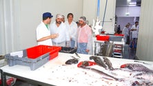 Imagem de PS acusa o governo de não resolver os problemas das pescas (áudio)