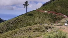 Imagem de Governo Regional recebeu doação de terreno para a faixa corta-fogo