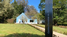 Imagem de Floresta da Macaronésia tem nova exposição (áudio)