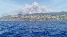 Imagem de Madeira viveu um autêntico «inferno» esta quinta-feira (vídeo)