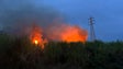 Incêndios na Madeira continuam ativos (vídeo)