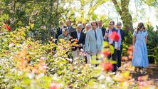 Imagem de Jardim Botânico vai ter uma nova ala de plantas tropicais (vídeo)