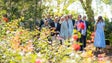 Imagem de Jardim Botânico vai ter uma nova ala de plantas tropicais (vídeo)