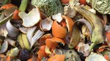 Imagem de Praia da Vitória integra rede de bioresíduos (Vídeo)