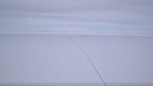 Imagem de Iceberg com mais que o dobro do tamanho da Madeira desprende-se da Antártica (vídeo)