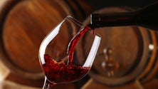 Imagem de Exportações de vinhos descem 1,28% em valor para 432 milhões até junho