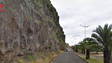 Imagem de Obras no talude sobranceiro ao porto de recreio da Calheta avançam