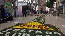 Imagem de Tapetes de flores enfeitam avenida Arriaga