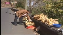 Imagem de Novo regime para a agricultura familiar (Vídeo)
