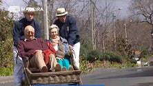 Imagem de Madeira garante que há negociações em curso para ultrapassar quarentena no Reino Unido (Vídeo)