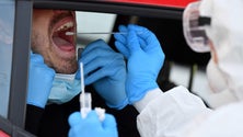 Imagem de Covid-19: Açores sem novos casos há cinco dias consecutivos