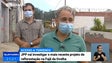 Imagem de JPP vai investigar o mais recente projeto de reflorestação na Fajã da Ovelha (Vídeo)
