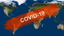 Imagem de Covid-19: Pandemia causa 395.977 mortos em todo o mundo
