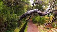 Imagem de Orçamento: 63ME para Ambiente, Recursos Naturais e Alterações Climáticas