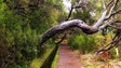Imagem de Orçamento: 63ME para Ambiente, Recursos Naturais e Alterações Climáticas