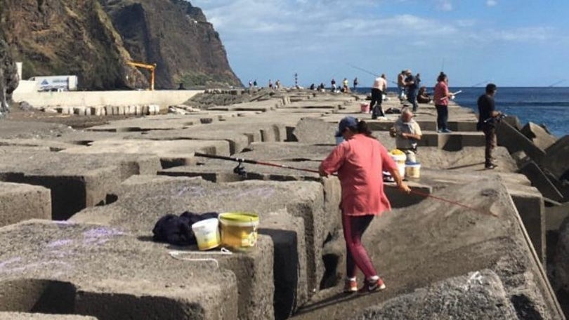 Imagem de Pesca amadora continua em alta depois dos estragos nas jaulas de aquacultura
