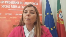 Imagem de PSD quer novas licenças na Zona Franca da Madeira (vídeo)